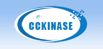 cckinase, Inc.
