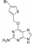 Lomeguatrib (PaTrin 2; PaTrin-2)