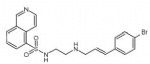 H-89 (Protein kinase inhibitor H-89; H89; H 89)