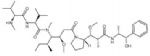 Monomethylauristatin E (MMAE)