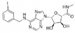 Piclidenoson (IB-MECA, CF-101, CF101, CF 101)