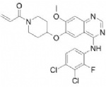 Poziotinib (HM781-36B; NOV120101)