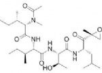 Epoxomicin (BU-4061T, BU4061T, BU 4061T)