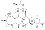 Azithromycin (CP 62993)