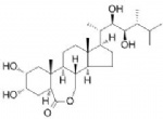 Epibrassinolide  (24-Epibrassinolide; B1105; BP55)